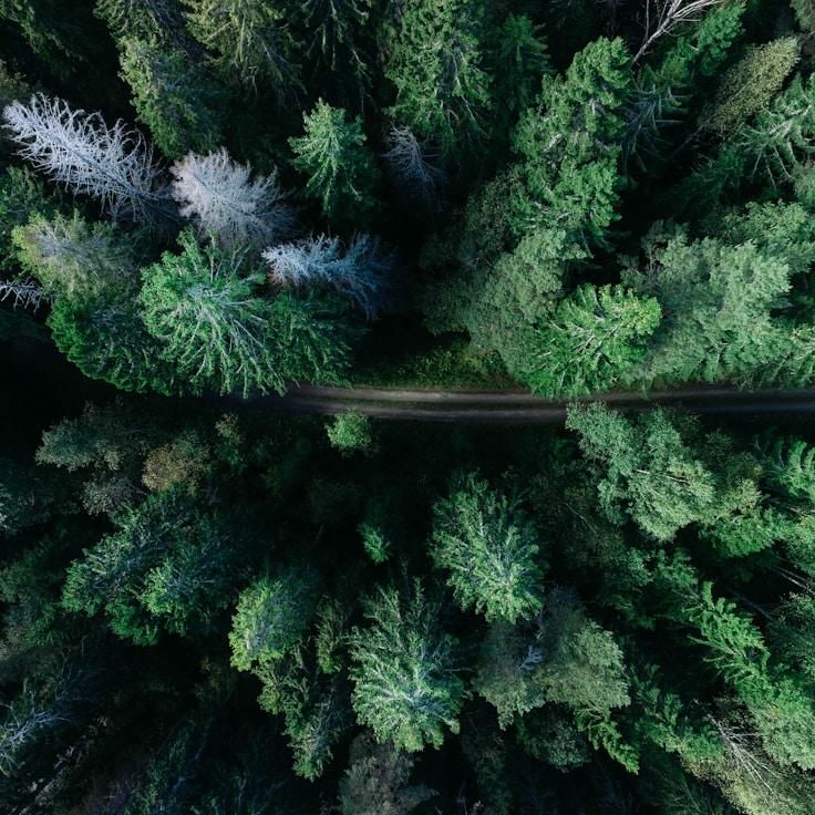 National parks landscape
